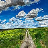 майское поле