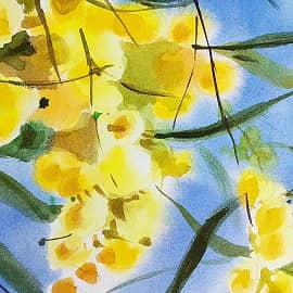 Мимоза, экспромт