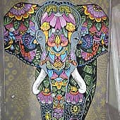 Индийский слоник, художник Артём (Artevgen_art)