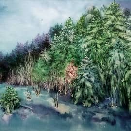 Заснеженный лес. Не  рубите, а берегите его!