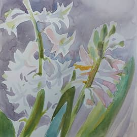 Гиацинт,  утренний мартовский свет.