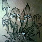 "Ядовитый лес грибной...