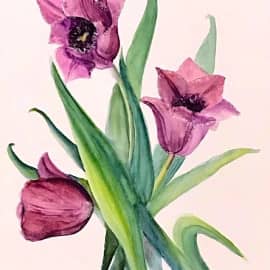 Сиреневые тюльпаны