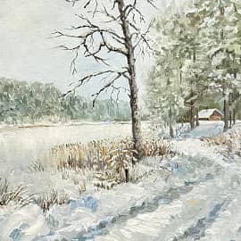 Один зимний день