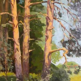 Сосны. Пленэр на Истре