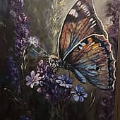 Метаморфозы