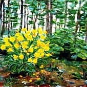 В лесопарке. Сокчо.