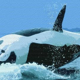 Подводный мир 021