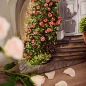 Розовый куст у входа (2), художник Светлана