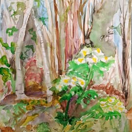 На лесной поляне