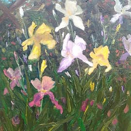 Ирисы и жимолость