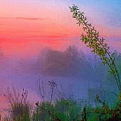 Алеет восток.