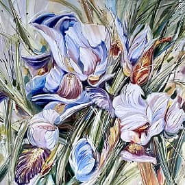 Цвет северного ветра. ИРИСЫ.