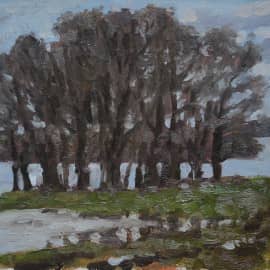 Дубки в половодье