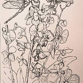 Две подружки