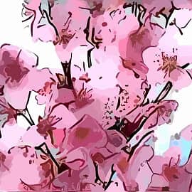 Цветение Сакуры. Триптих Весна