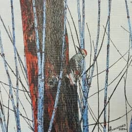 Лесной лекарь