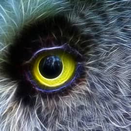 Всёвидящий глаз