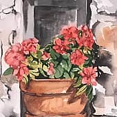 Красный цветок