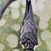 Вниз головой