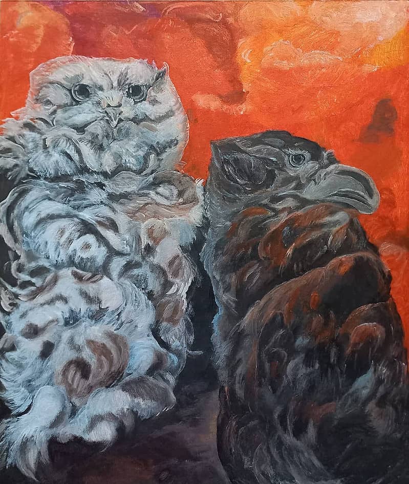 Ссора Совы и Ворона.