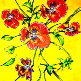 Анютины глазки