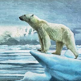 Животные 071