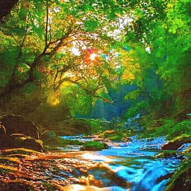 лесной ручей