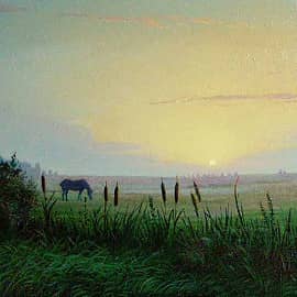 Вечер. Камыши