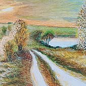 Лес на закате