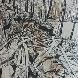 Берег реки Вилюй, 2003