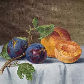 Натюрморт из слив и абрикос