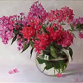 Флоксы