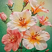 Нежность в лучах зари