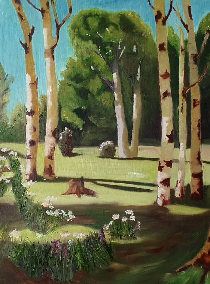 Березовая роща: взгляд в духе Куинджи