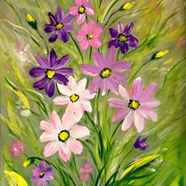 Садовые космеи