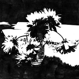 Цветы в черном  Flowers in black