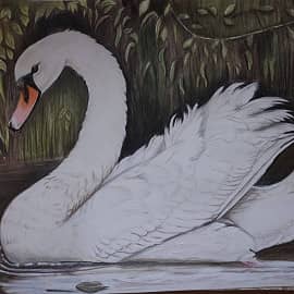 Тихая заводь