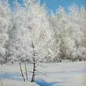 Зима в Тальменке 2  Winter in Talmenka Village 2