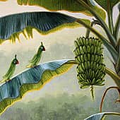 Лиза Рэй - Тропический сад 1 (1), художник Лиза Рэй