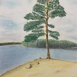 Картина дня