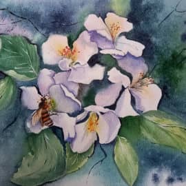 Яблони цвет