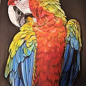 Просто Кеша