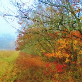 Туманная даль.