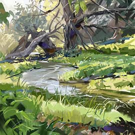 Ручей в лесу