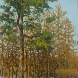 Этюд. Мартовские тени