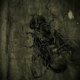 "Сожительница"