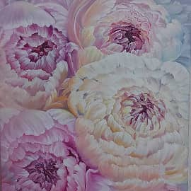 Очарование пионов