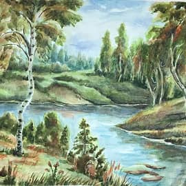 Березки на берегу реки.