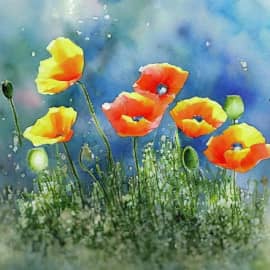 Картина "Маковые росинки"